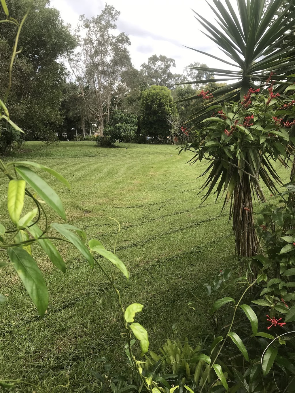 Mates Rates Lawn Mowing Acreage Care |  | Contact for address, Mooloolah Valley QLD 4553, Australia | 0401900500 OR +61 401 900 500