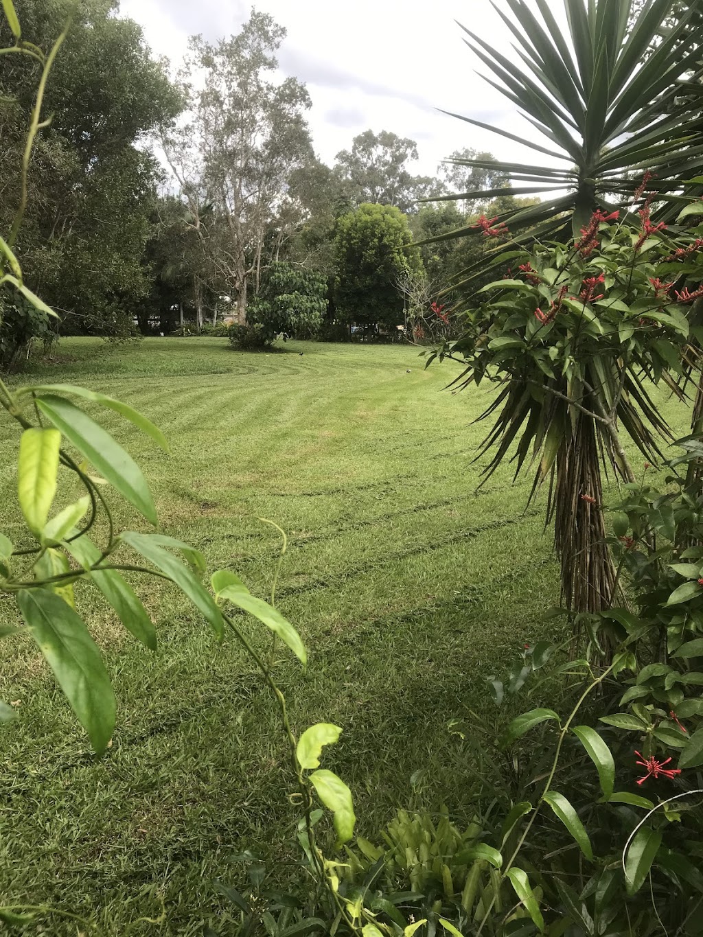 Mates Rates Lawn Mowing Acreage Care | Contact for address, Mooloolah Valley QLD 4553, Australia | Phone: 0401 900 500