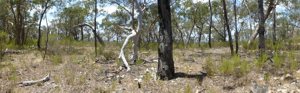 McIvor Range Reserve | Heathcote VIC 3523, Australia