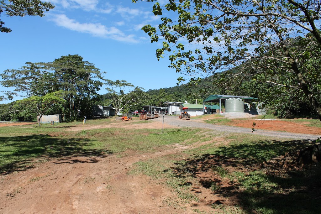 Daintree Rainforest Observatory, James Cook University | Cape Tribulation QLD 4873, Australia | Phone: (07) 4098 0005