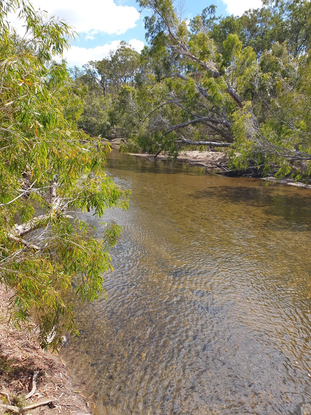 Western Yalanji Aboriginal Corporation RNTBC | 39 Constance St, Mareeba QLD 4880, Australia | Phone: (07) 4092 6712