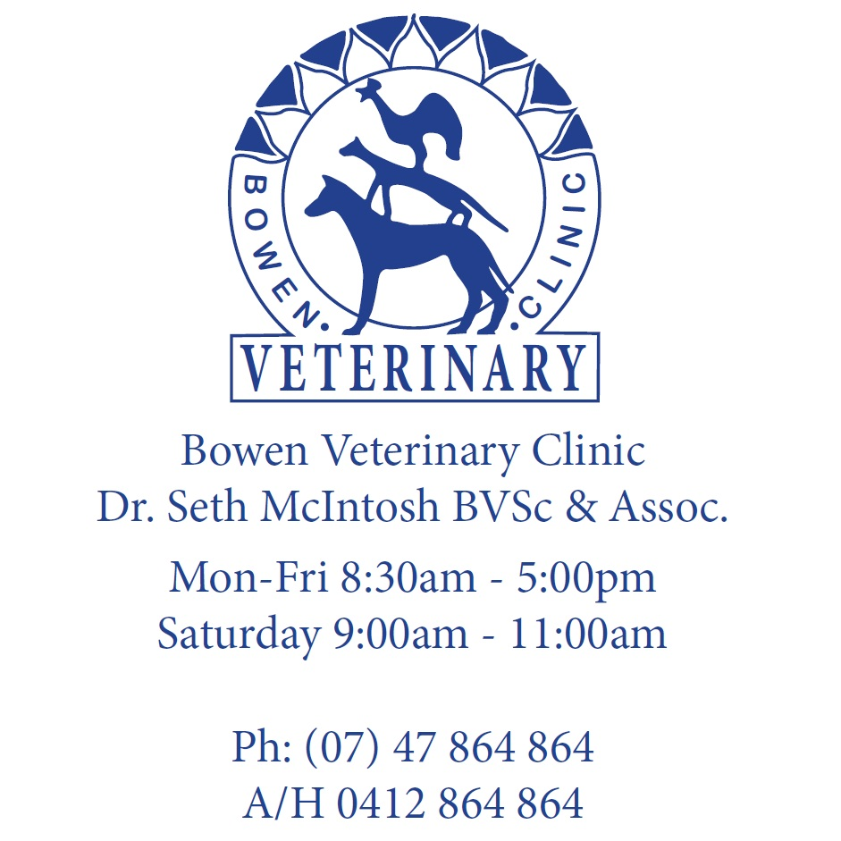 Bowen Veterinary Clinic | veterinary care | 156 Richmond Rd, Bowen QLD 4805, Australia | 0747864864 OR +61 7 4786 4864