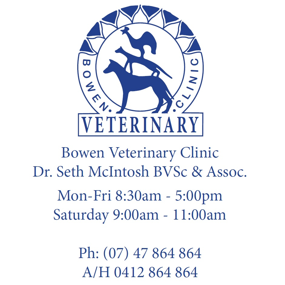 Bowen Veterinary Clinic | 156 Richmond Rd, Bowen QLD 4805, Australia | Phone: (07) 4786 4864