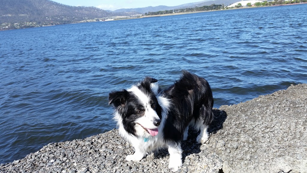 Montrose Foreshore Community Park | park | Brooker Hwy, Glenorchy TAS 7010, Australia