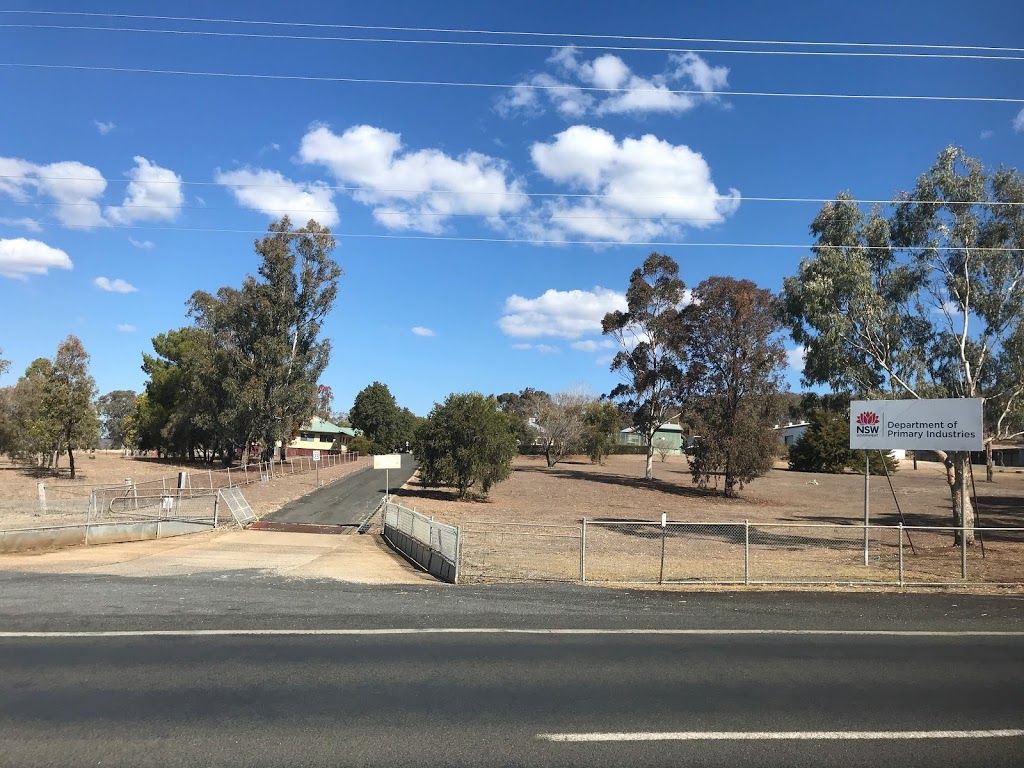 New England District Fisheries Office (Inverell) | local government office | Resource Centre, 7023 Gwydir Hwy, Inverell NSW 2360, Australia | 0267219845 OR +61 2 6721 9845