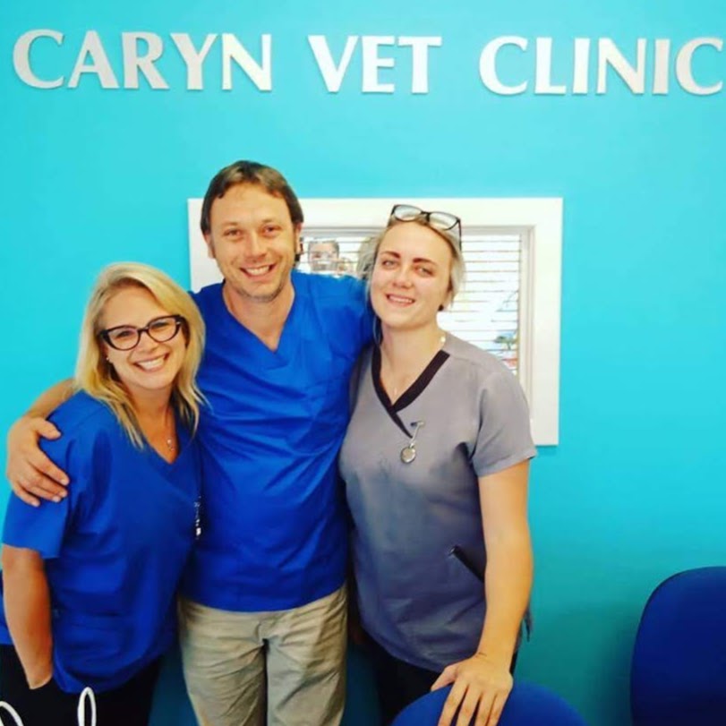 Caryn Vet Hospital | veterinary care | Unit 1/4 Wisteria Parade, Edgewater WA 6027, Australia | 0892061919 OR +61 8 9206 1919