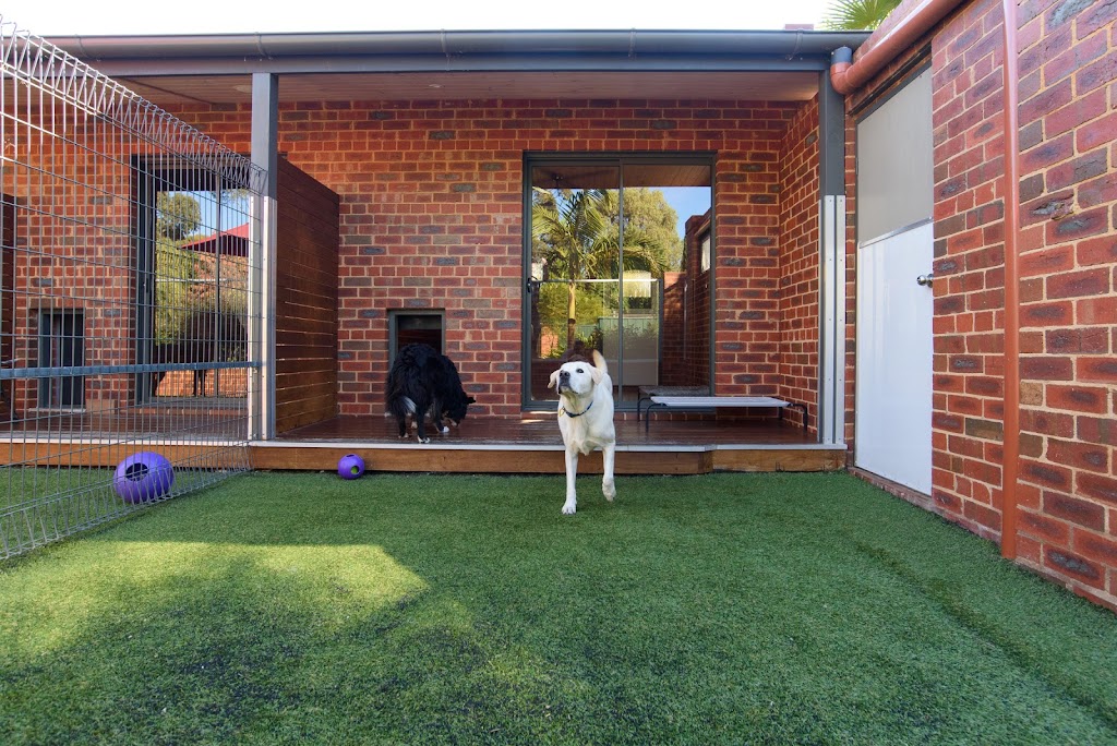 Cottage Kennels and Cattery |  | 248 Yan Yean Rd, Plenty VIC 3090, Australia | 0394361531 OR +61 3 9436 1531