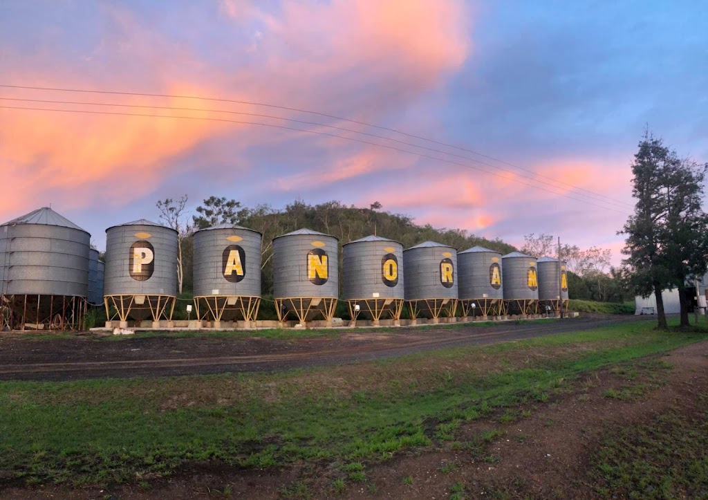 Panorama Seeds (Qld) Pty Ltd | 1429 Jondaryan Mount Tyson Rd, Mount Irving QLD 4401, Australia | Phone: 0428 627 385