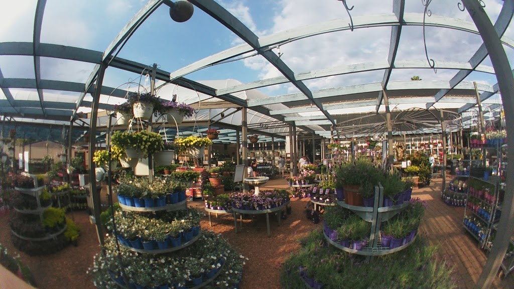 Flower Power Garden Centre Enfield | 27 Mitchell St, Enfield NSW 2136, Australia | Phone: (02) 9747 5555