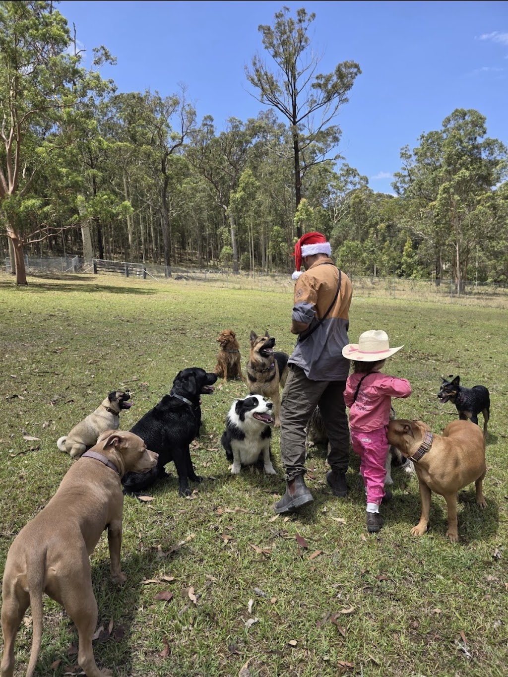20 lucky dogs | Woods Rd, Jilliby NSW 2259, Australia | Phone: 0432 913 733