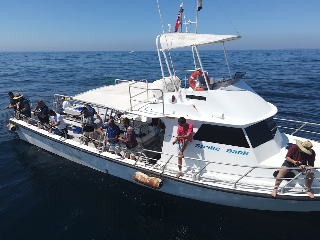 Blue Reef Fishing Charters | tourist attraction | Sydney NSW Thames Street ferry wharf, Balmain NSW 2041, Australia | 0404242234 OR +61 404 242 234