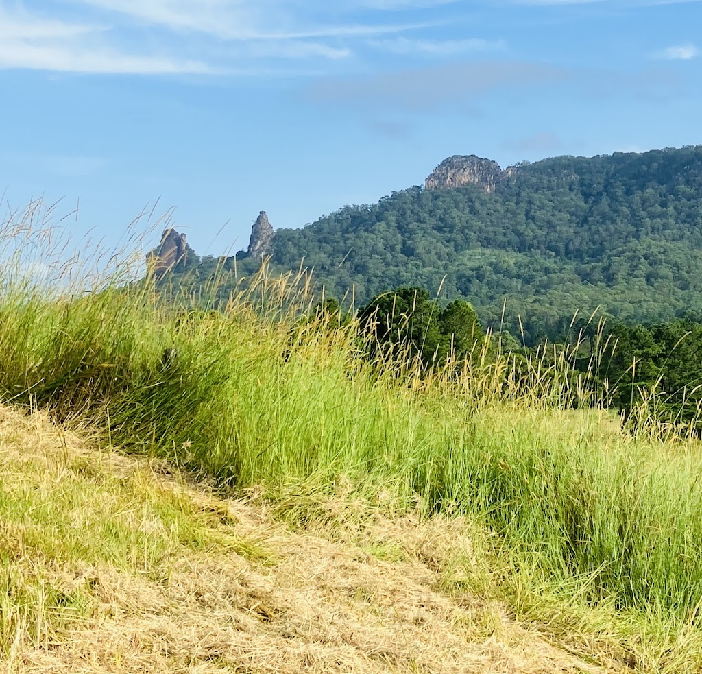 Stoney-Chute Retreat | 61 Cullen Rd, Nimbin NSW 2480, Australia | Phone: 0438 851 880