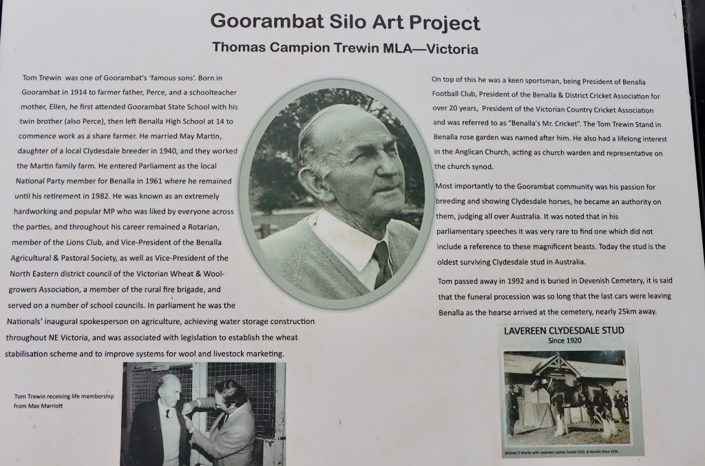 Goorambat Silo Art | 46 Halls Rd, Goorambat VIC 3725, Australia | Phone: 0411 533 339