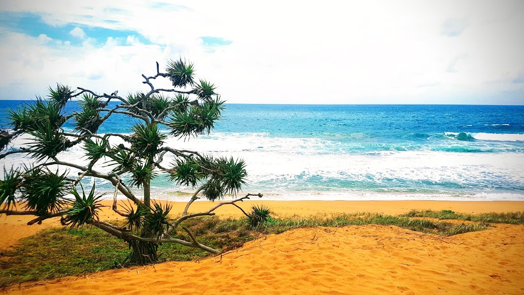 Deepwater National Park | Wreck Rock Rd, Deepwater QLD 4674, Australia