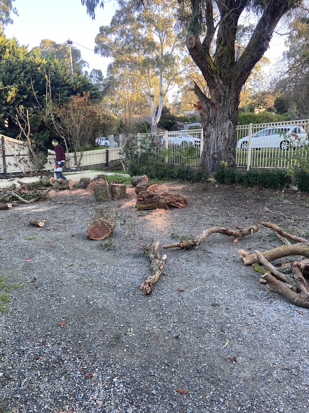 Goldfields Garden Services | 53-55 Gosford Ct, Park Orchards VIC 3114, Australia | Phone: 0420 116 969