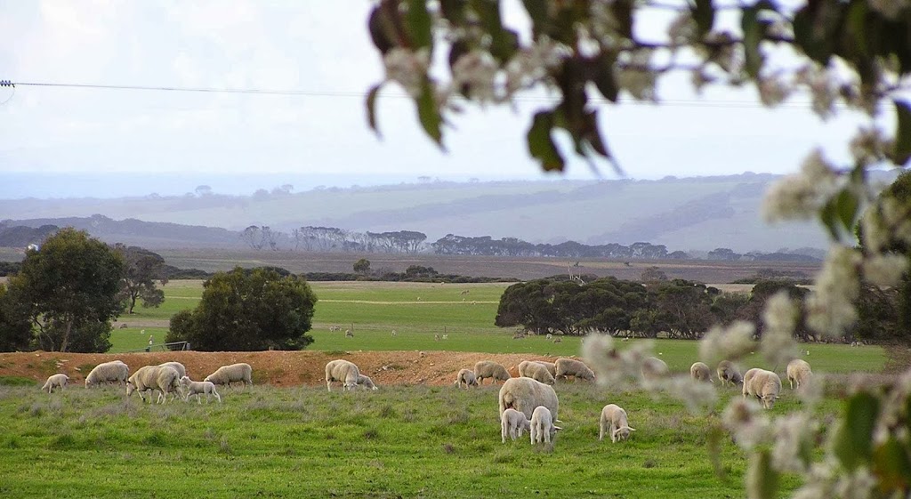 The Roost | 457 Elsegood Rd, Haines SA 5223, Australia | Phone: 0438 538 241