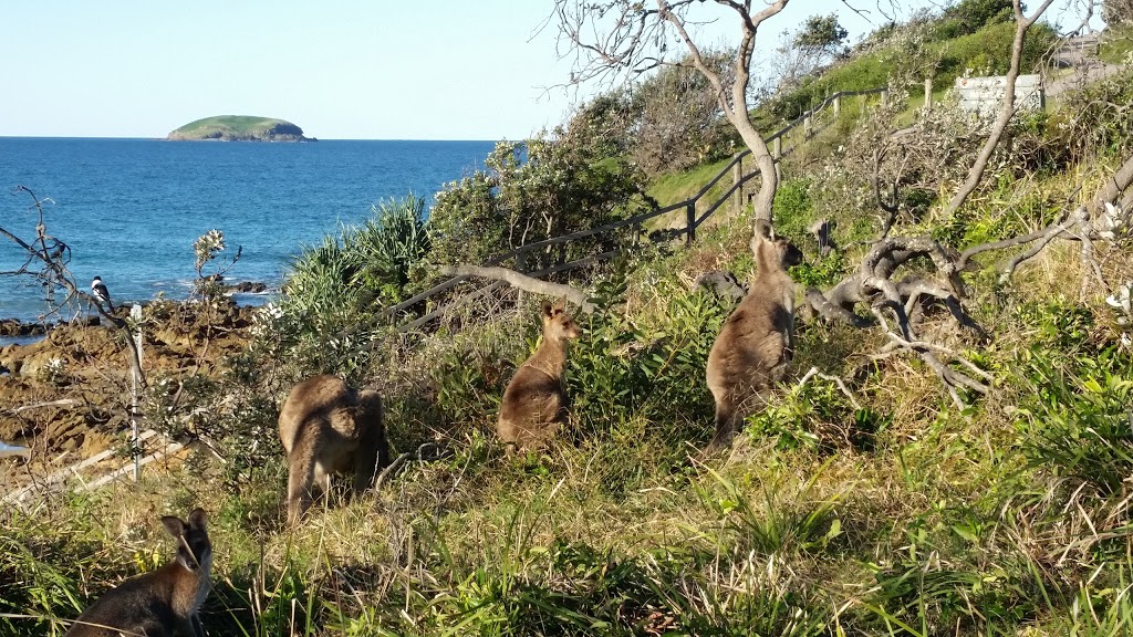 Emerald Beach House | 38 Ocean View Cres, Emerald Beach NSW 2456, Australia | Phone: 0402 808 088