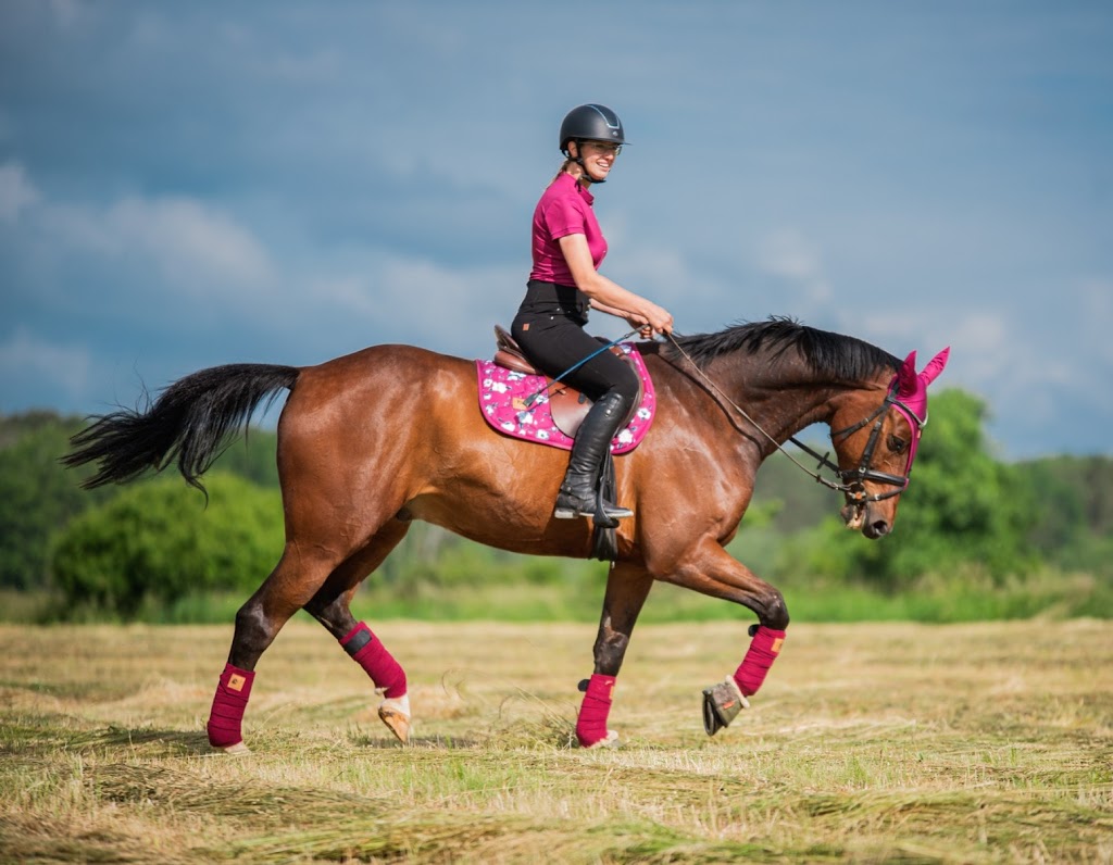 LL Equestrian | Bowers Rd, Hatton Vale QLD 4341, Australia | Phone: 0411 015 322