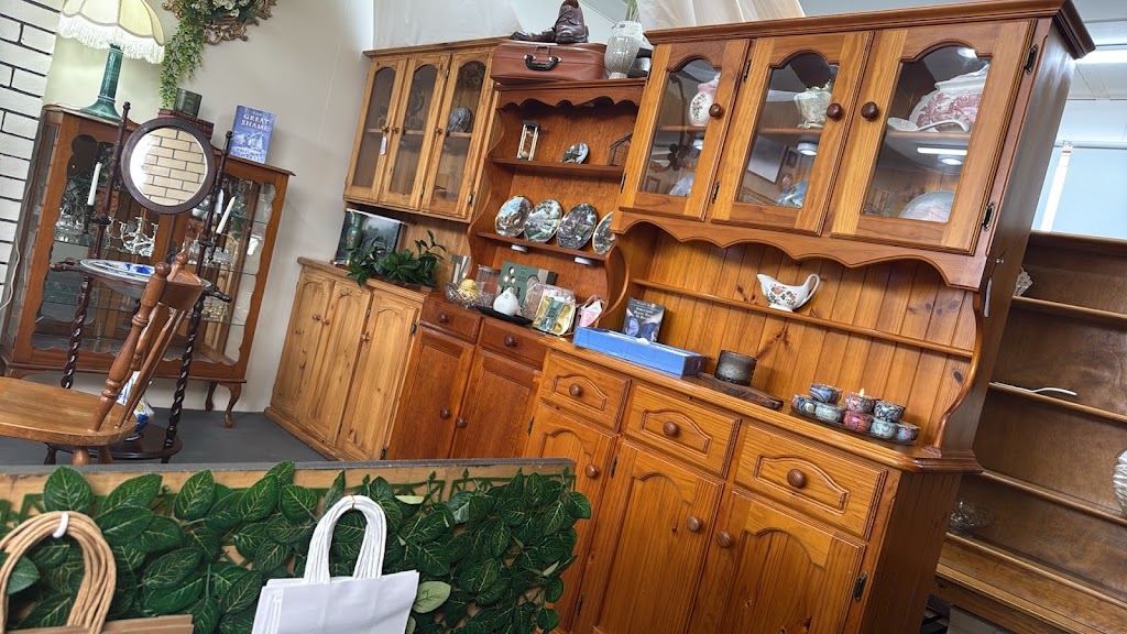 The Curiosity Shoppe | 181 Charles St, Beauty Point TAS 7270, Australia | Phone: 0492 138 242