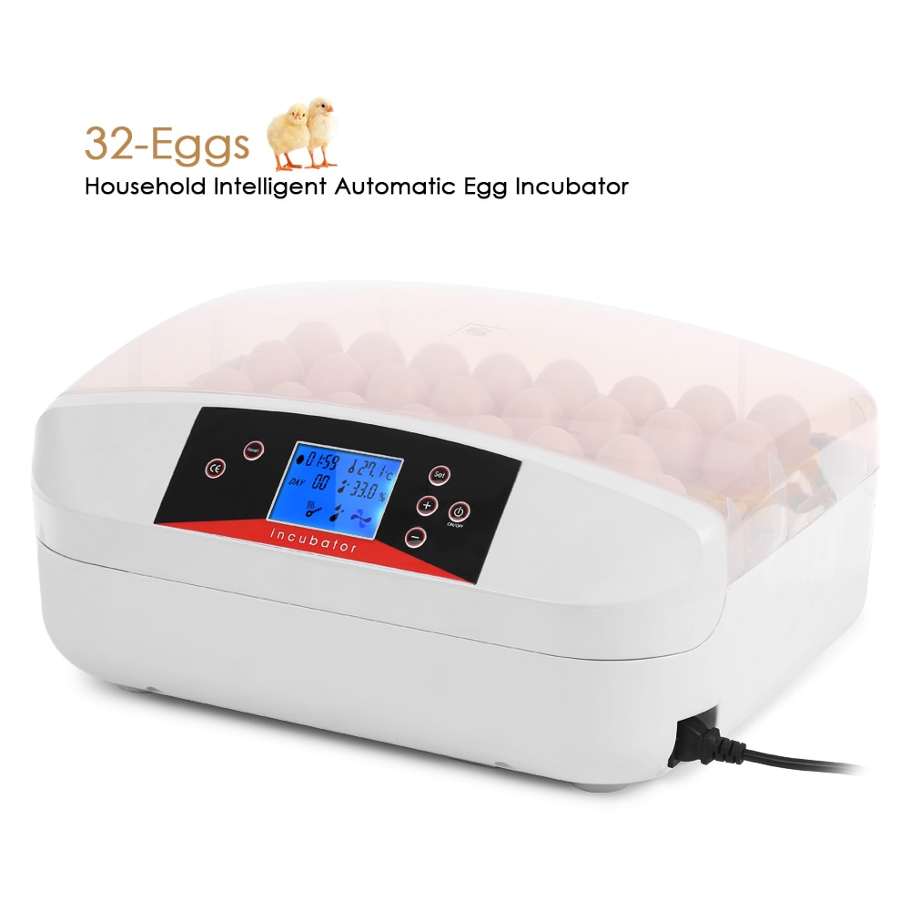 Egg Hatch Now | 16 Adelaide Rd, Tungkillo SA 5236, Australia | Phone: (08) 8568 2812