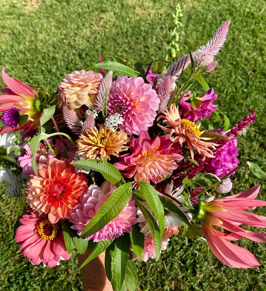 Paddock Flowers | florist | Pappinbarra Rd, Pappinbarra NSW 2446, Australia | 0403546887 OR +61 403 546 887