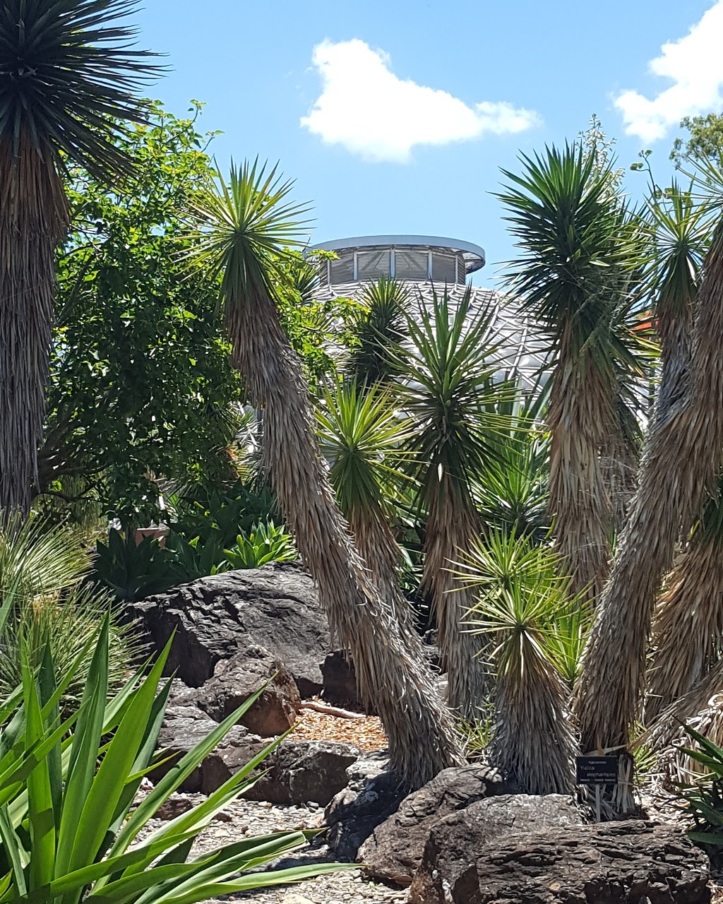 Tropical Display Dome | park | 152 Mount Coot Tha Rd, Mount Coot-Tha QLD 4066, Australia