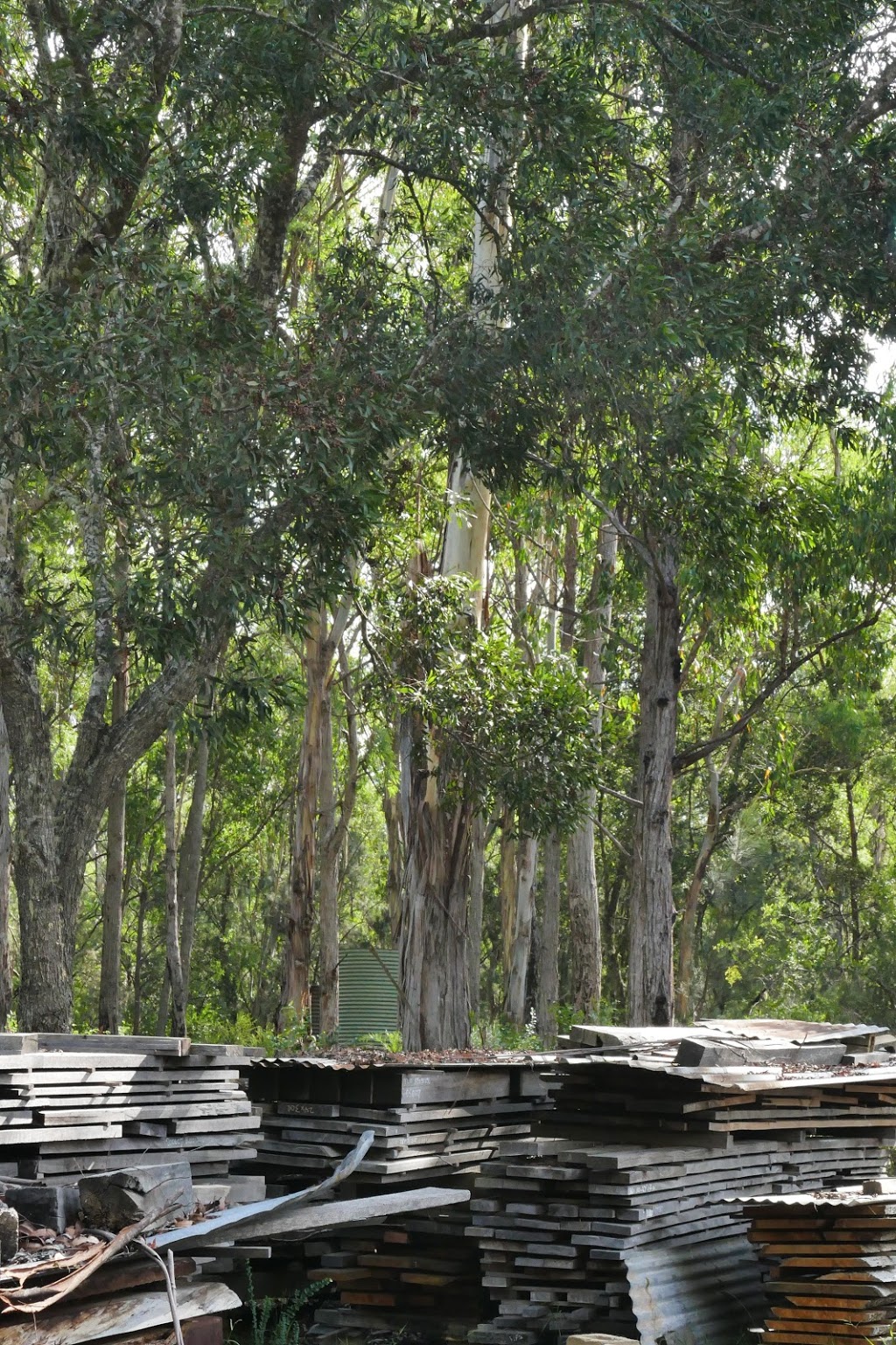 Cockatoo Creek Timbers | 63 Mount St, Dundurrabin NSW 2453, Australia | Phone: 0428 272 830