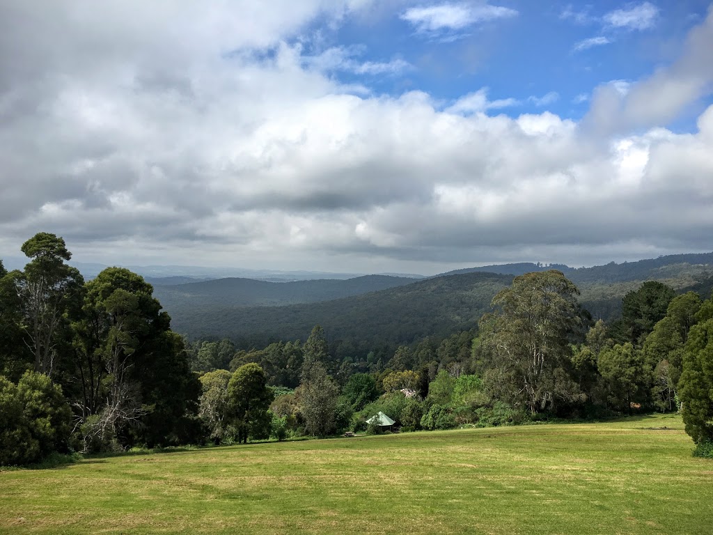 Dandenong Ranges National Park | park | Sassafras VIC 3787, Australia | 131963 OR +61 131963