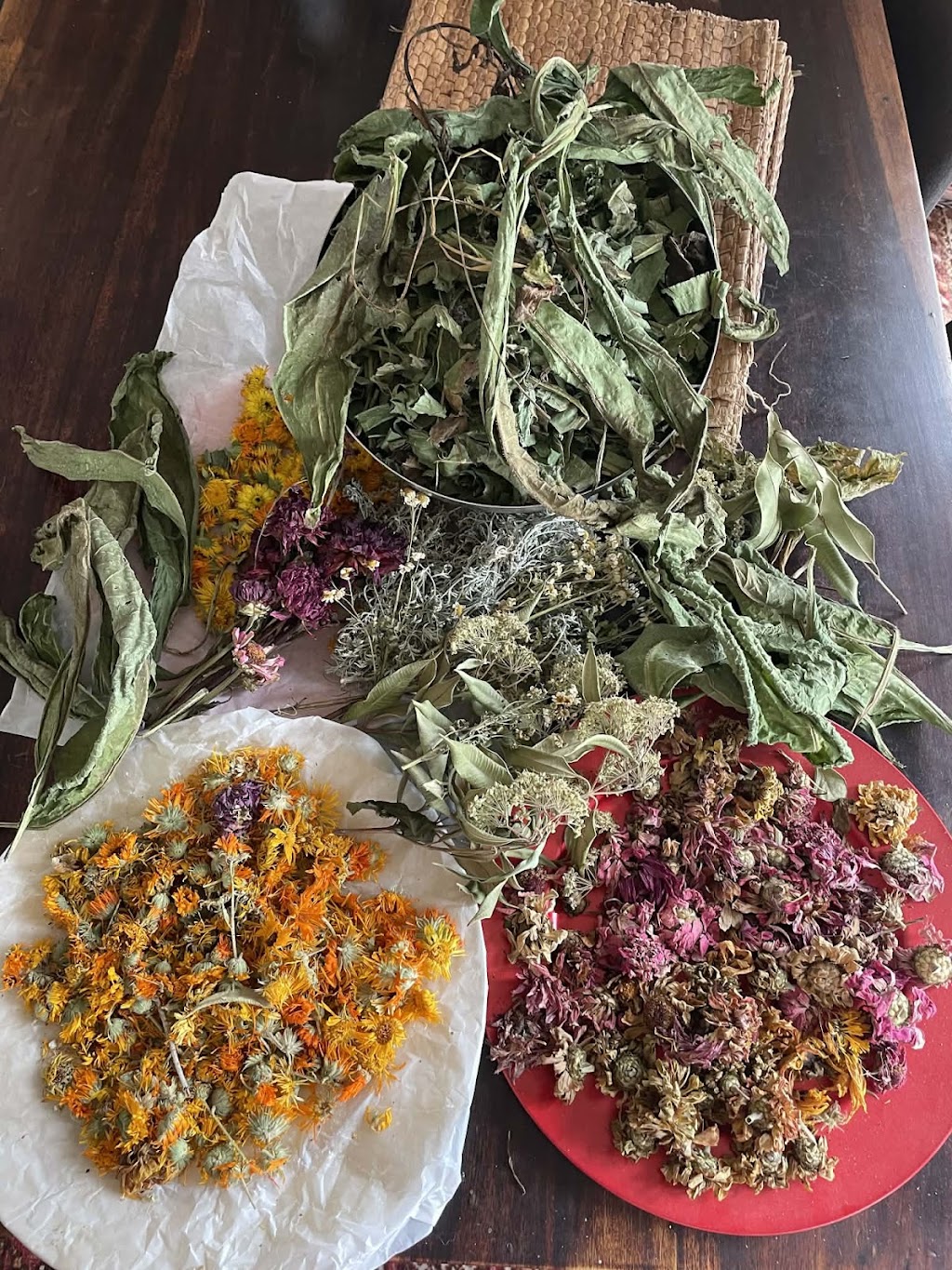 Migasoka Farm | 282 Linkes Ln, Mount Beppo QLD 4313, Australia | Phone: 0401 838 490