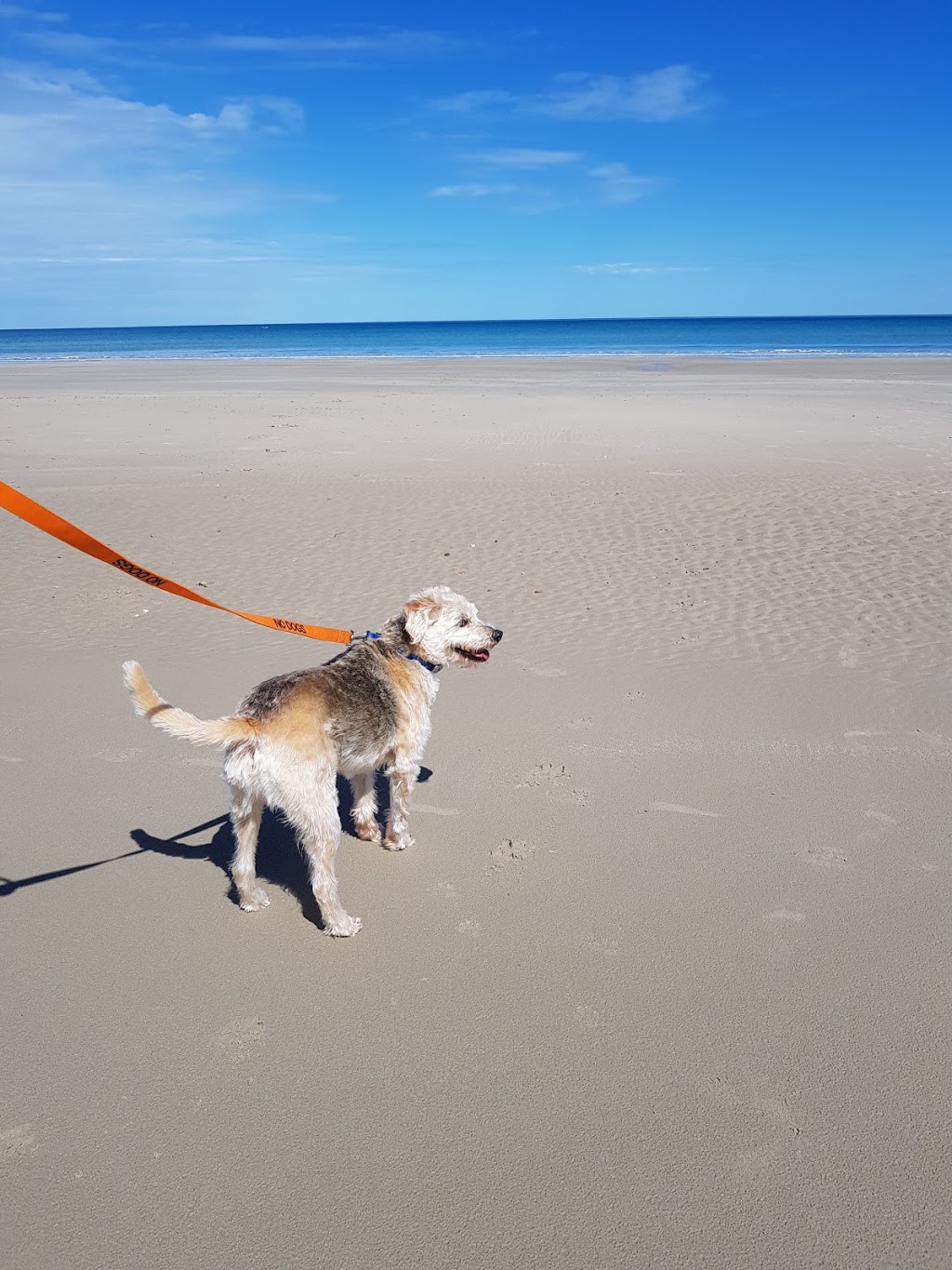 Silver Sands Drive on Beach | Aldinga Beach SA 5173, Australia | Phone: (08) 8384 0666