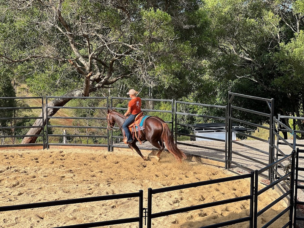 Watson Equine | 30 Doomben Ct, Beechmont QLD 4211, Australia | Phone: 0432 891 400