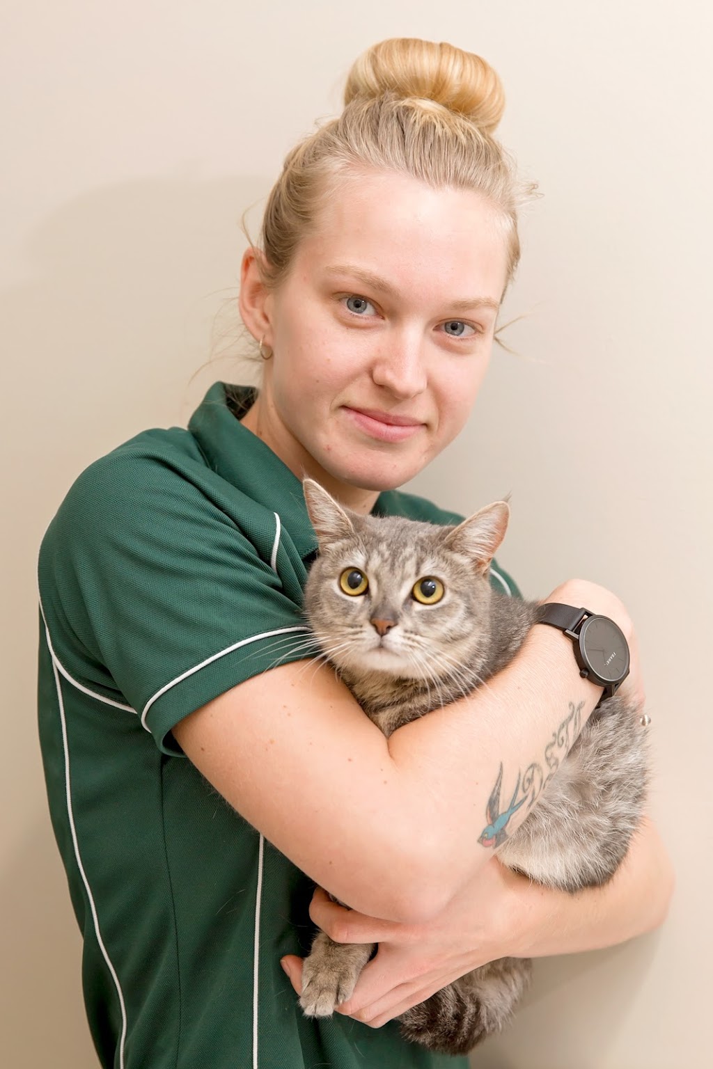 Canungra Veterinary Surgery | veterinary care | Franklin St, Canungra QLD 4275, Australia | 0755435622 OR +61 7 5543 5622