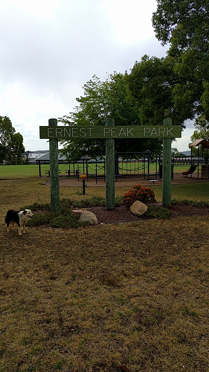 Ernest Peak Park | park | 51 Gipps St, Drayton QLD 4350, Australia