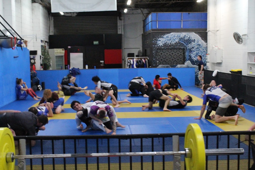 DC Jiu Jitsu | health | 150 Fyans St, South Geelong VIC 3220, Australia | 0400600045 OR +61 400 600 045