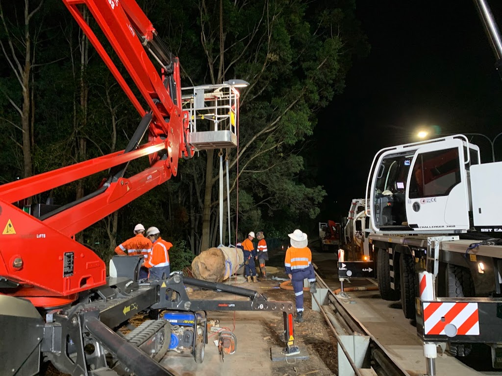 Australian Arboricultural Operations Pty Ltd | 85 Waterford Tamborine Rd, Waterford QLD 4133, Australia | Phone: 0402 209 925