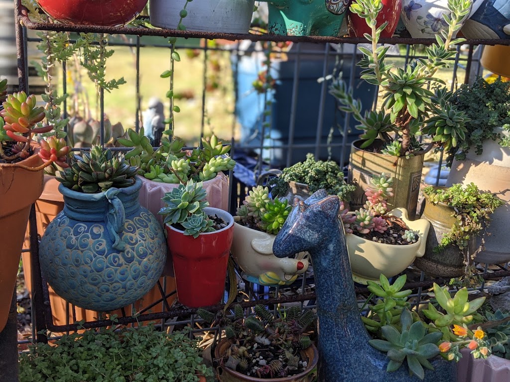 Jennies Garden Shop | 64 Emu Rd, Glenbrook NSW 2773, Australia