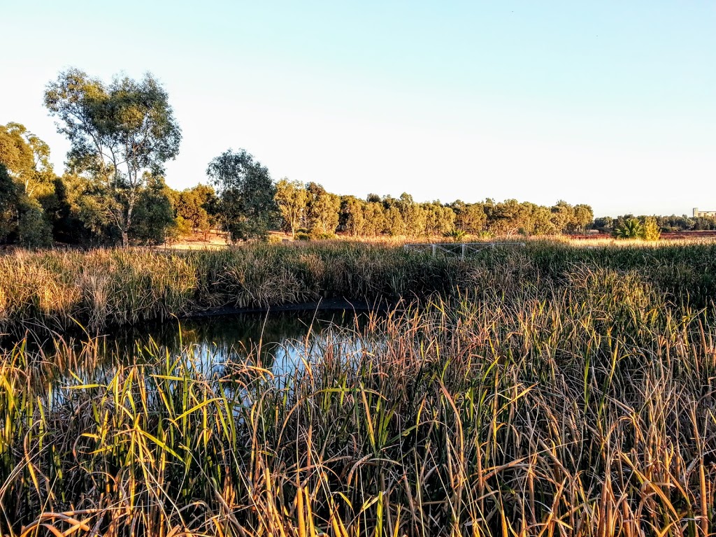 Junee Urban Wetland | Crawley St, Junee NSW 2663, Australia