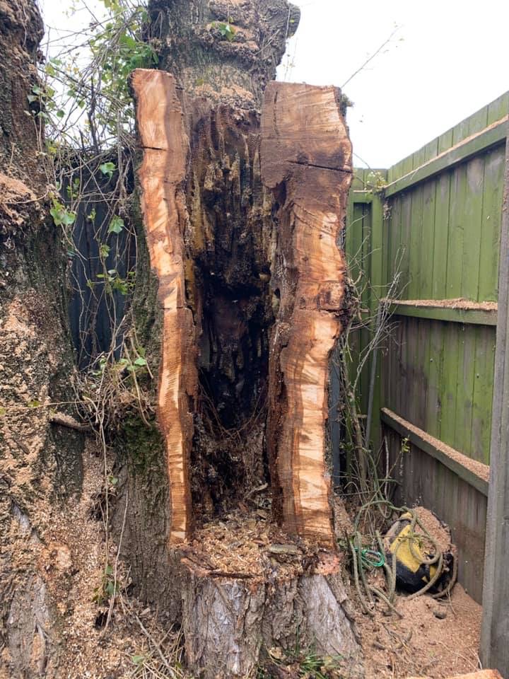 Rapid Mini Chip & Tree Removal | Sutton St, Delacombe VIC 3356, Australia | Phone: 0409 005 227