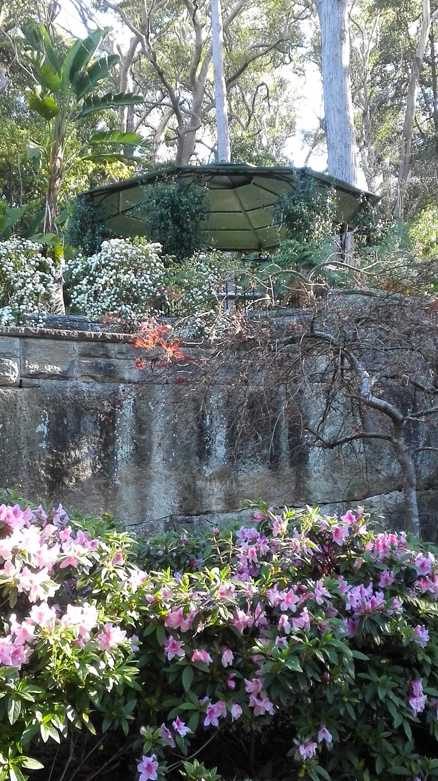 Swain Gardens | park | 77 Stanhope Rd, Killara NSW 2071, Australia | 0294240000 OR +61 2 9424 0000