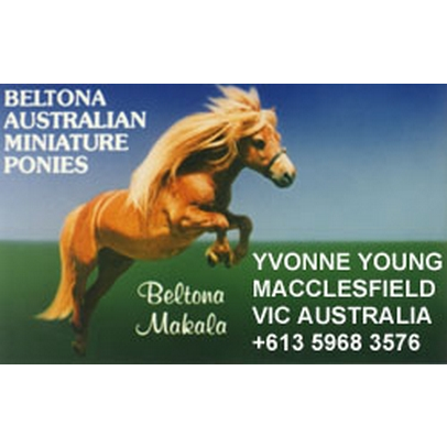 Beltona Miniature Horse & Pony Stud | food | 21 Mulhalls Rd, Macclesfield VIC 3782, Australia | 0422595675 OR +61 422 595 675