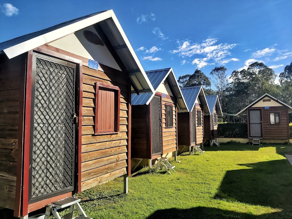 West Brisbane Termite Services | Moggill Rd, Indooroopilly QLD 4068, Australia | Phone: (07) 3802 0304