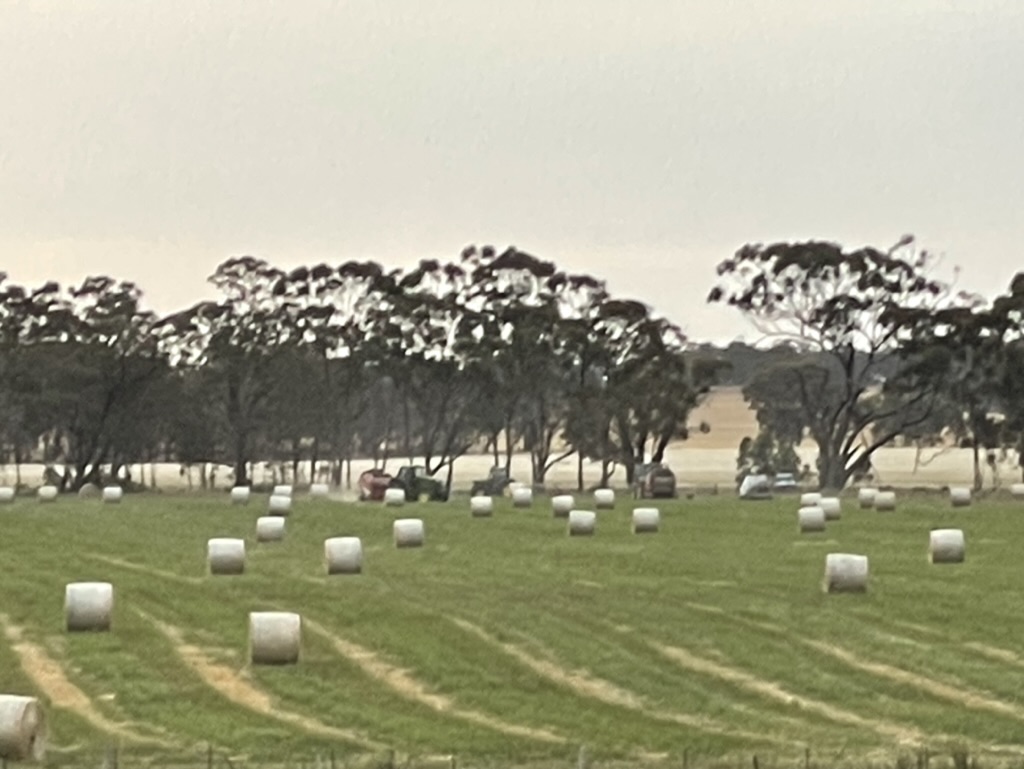 Brewery Farm on Loddon | Brewery Farm, 51 Catto Ln, Newbridge VIC 3551, Australia | Phone: (03) 5438 7547