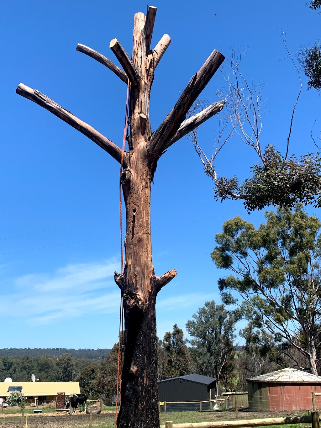 Tree Patrol |  | 470 Bullumwaal Rd, Wy Yung VIC 3875, Australia | 0418831078 OR +61 418 831 078