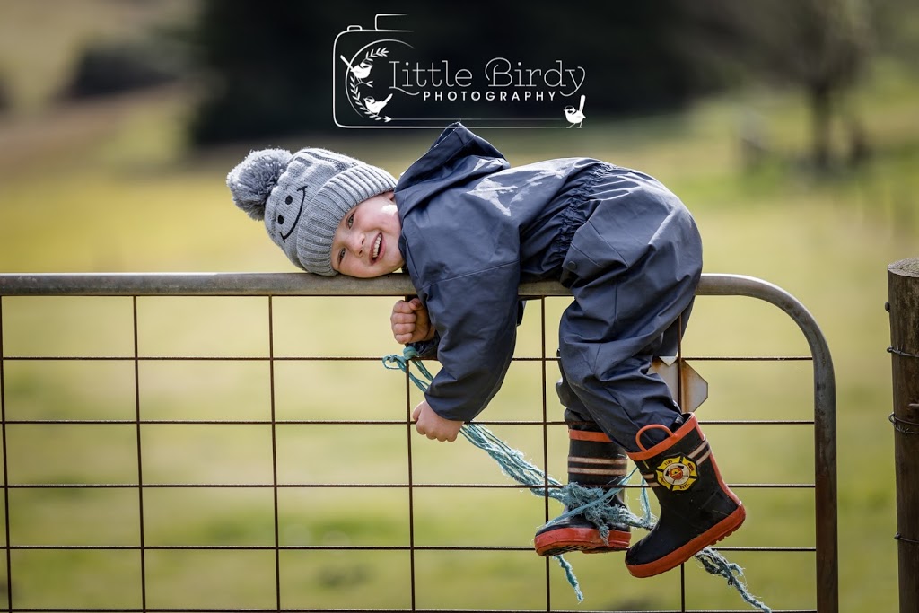 Little Birdy Photography |  | 275 Cochranes Rd, Traralgon South VIC 3844, Australia | 0437955023 OR +61 437 955 023