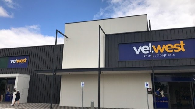 Vetwest Animal Hospitals Ellenbrook | 11 Main St, Ellenbrook WA 6069, Australia | Phone: (08) 9404 1180