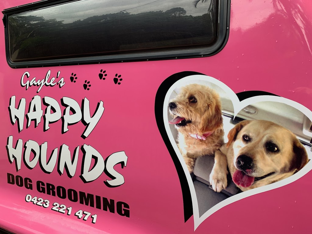 Gayles Happy Hounds | 81 Jacaranda Ave, Tweed Heads West NSW 2485, Australia | Phone: 0423 221 471