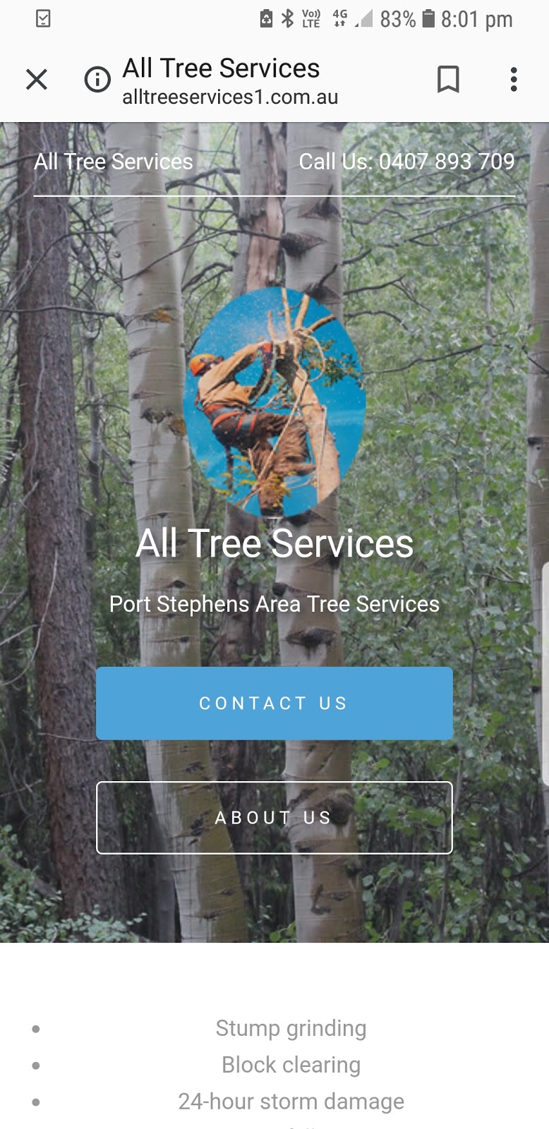 All Tree Services & Stump Grinding | 79 Morna Point Rd, Anna Bay NSW 2316, Australia | Phone: 0407 893 709