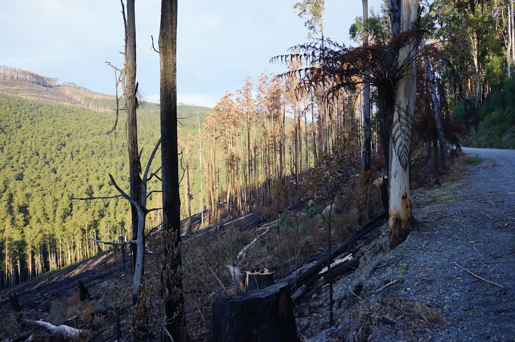 Rubicon Boys Campground | Rubicon VIC 3712, Australia