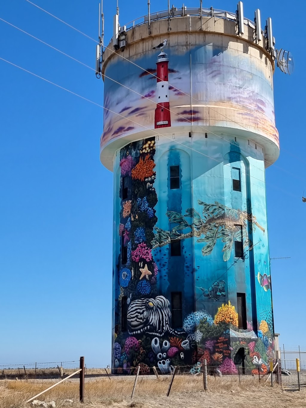 Edithburgh Water Tower | tourist attraction | New Honiton Rd, Edithburgh SA 5583, Australia | 0888320000 OR +61 8 8832 0000