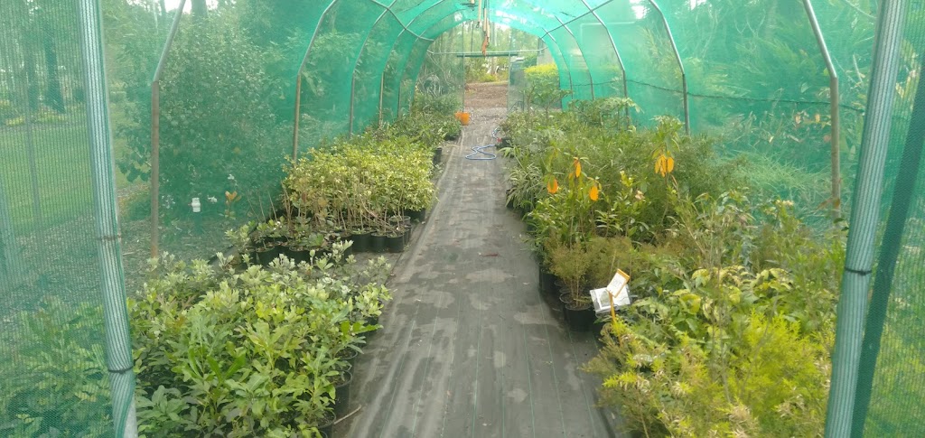 Hidden Grove Plant Nursery (36-38 Carbeen Rd) Opening Hours